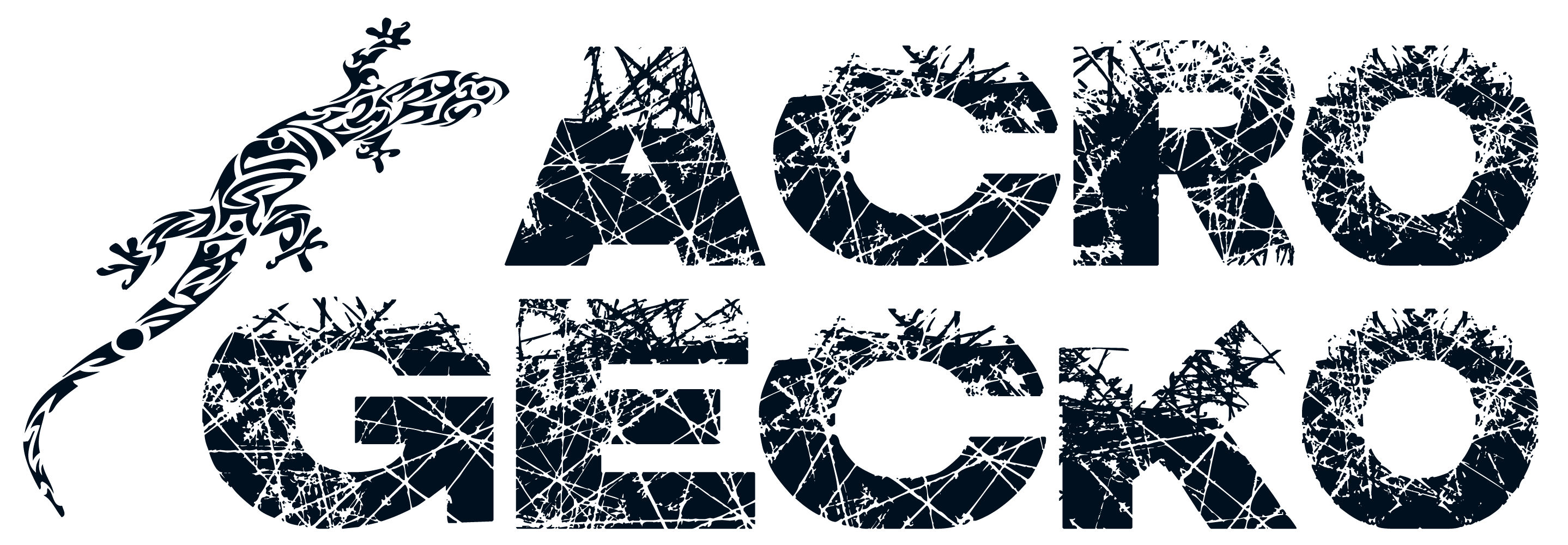 logo-ACRO GECKO