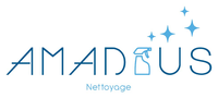 Logo AMADEUS NETTOYAGE ET SERVICES ASSOCIES