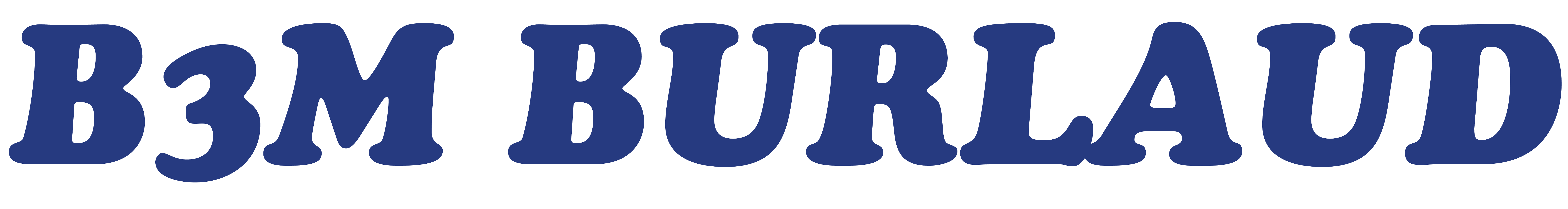 logo-B3M BURLAUD