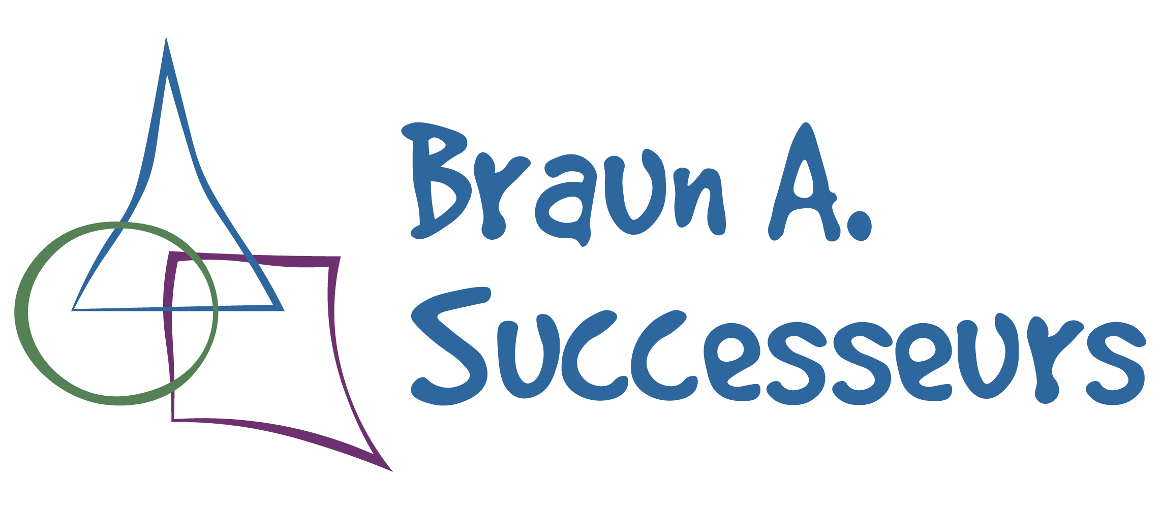 logo-BRAUN A SUCCESSEURS