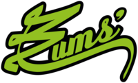 Logo CUSTOM TEAM - BUMS