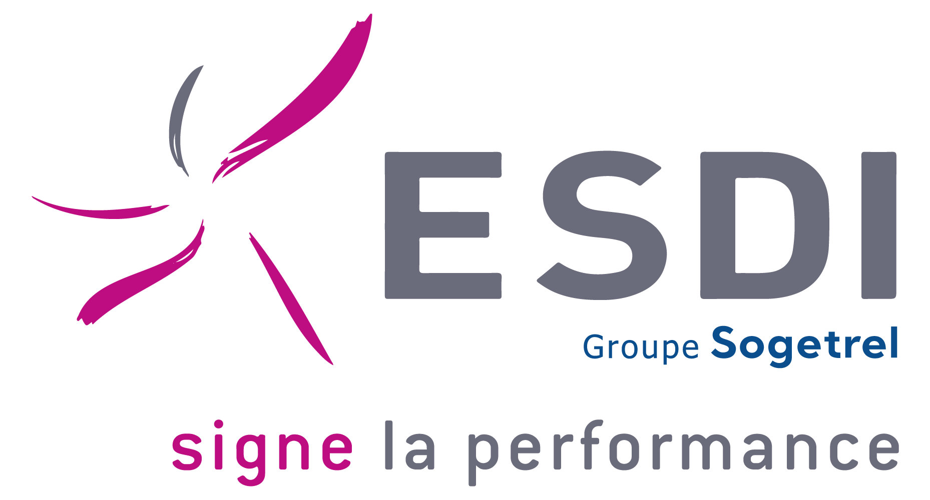 logo-ESDI GROUPE