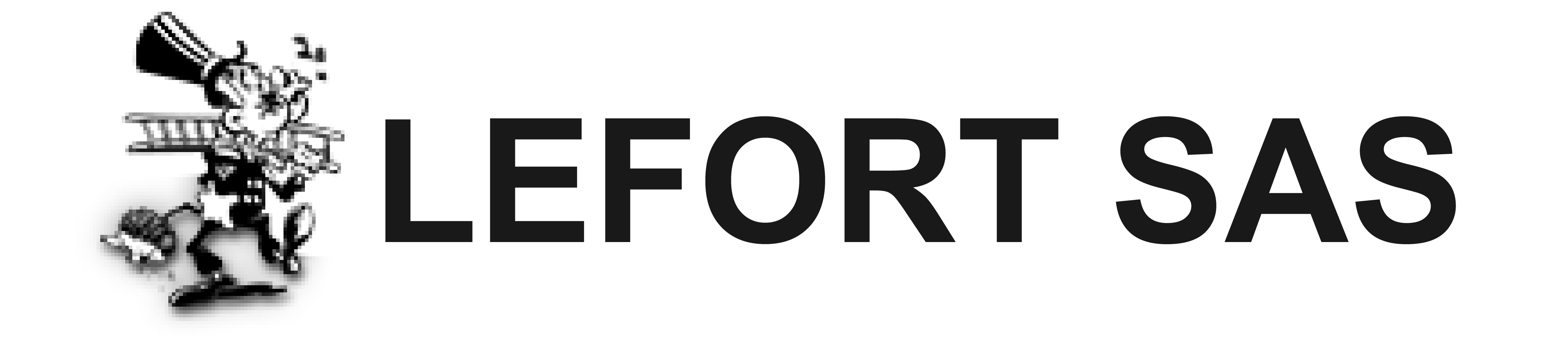 logo-LEFORT