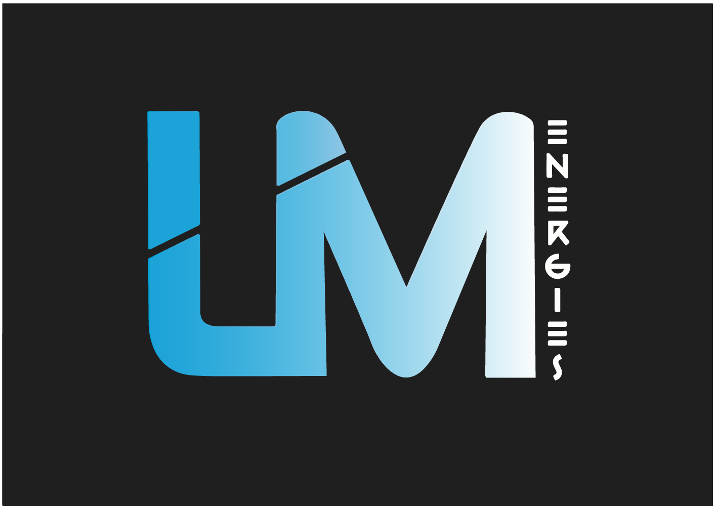 logo-LM ENERGIES