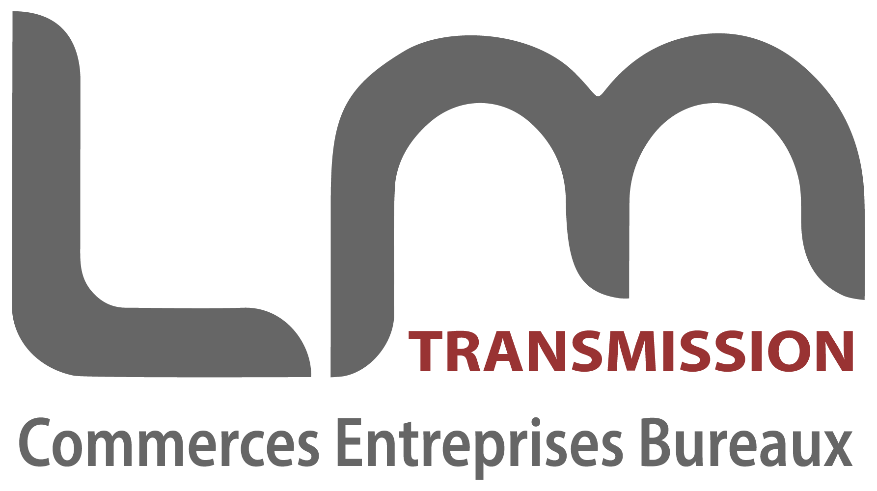 logo-LM TRANSMISSION