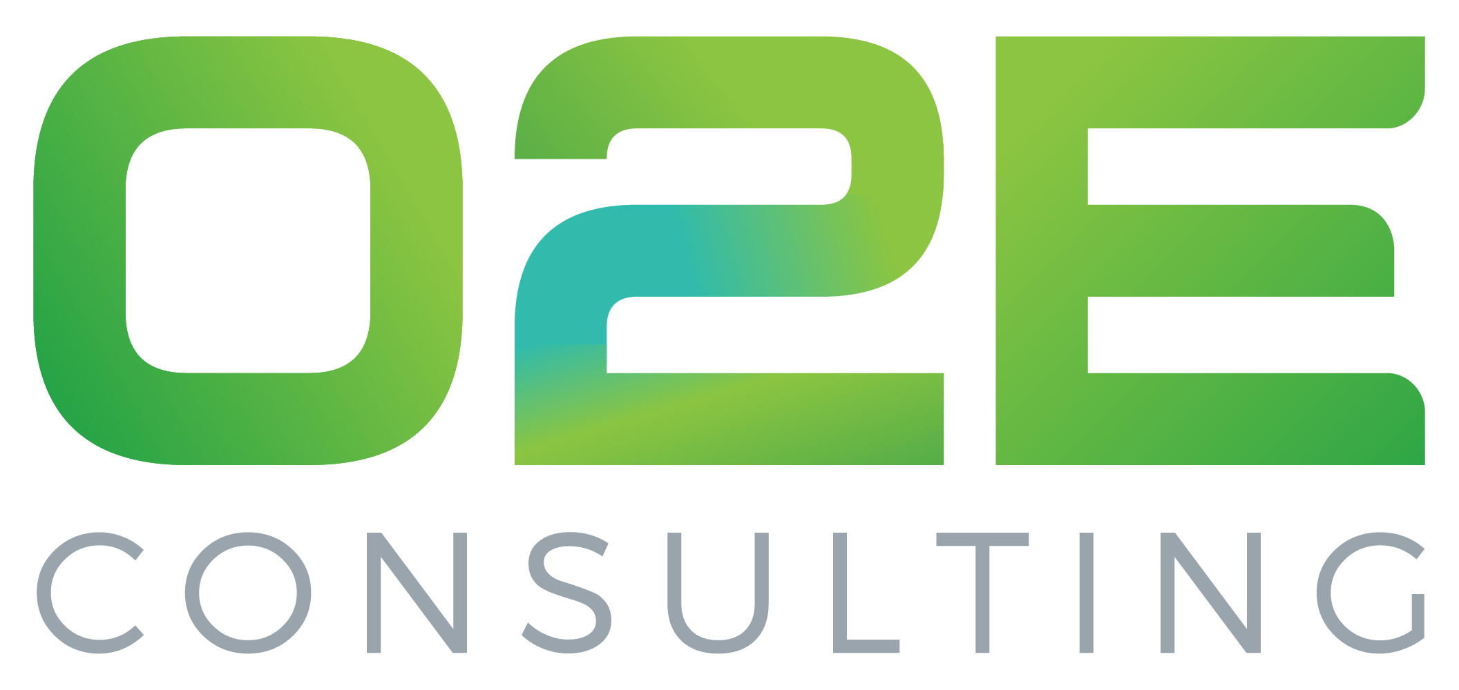 logo-O2E CONSULTING