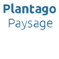 PLANTAGO PAYSAGE