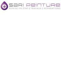 Sari Peinture