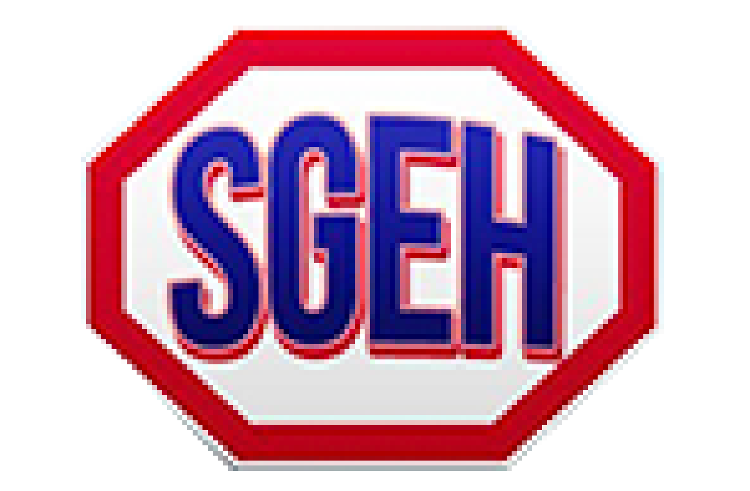 logo-Sgeh - Leneutre