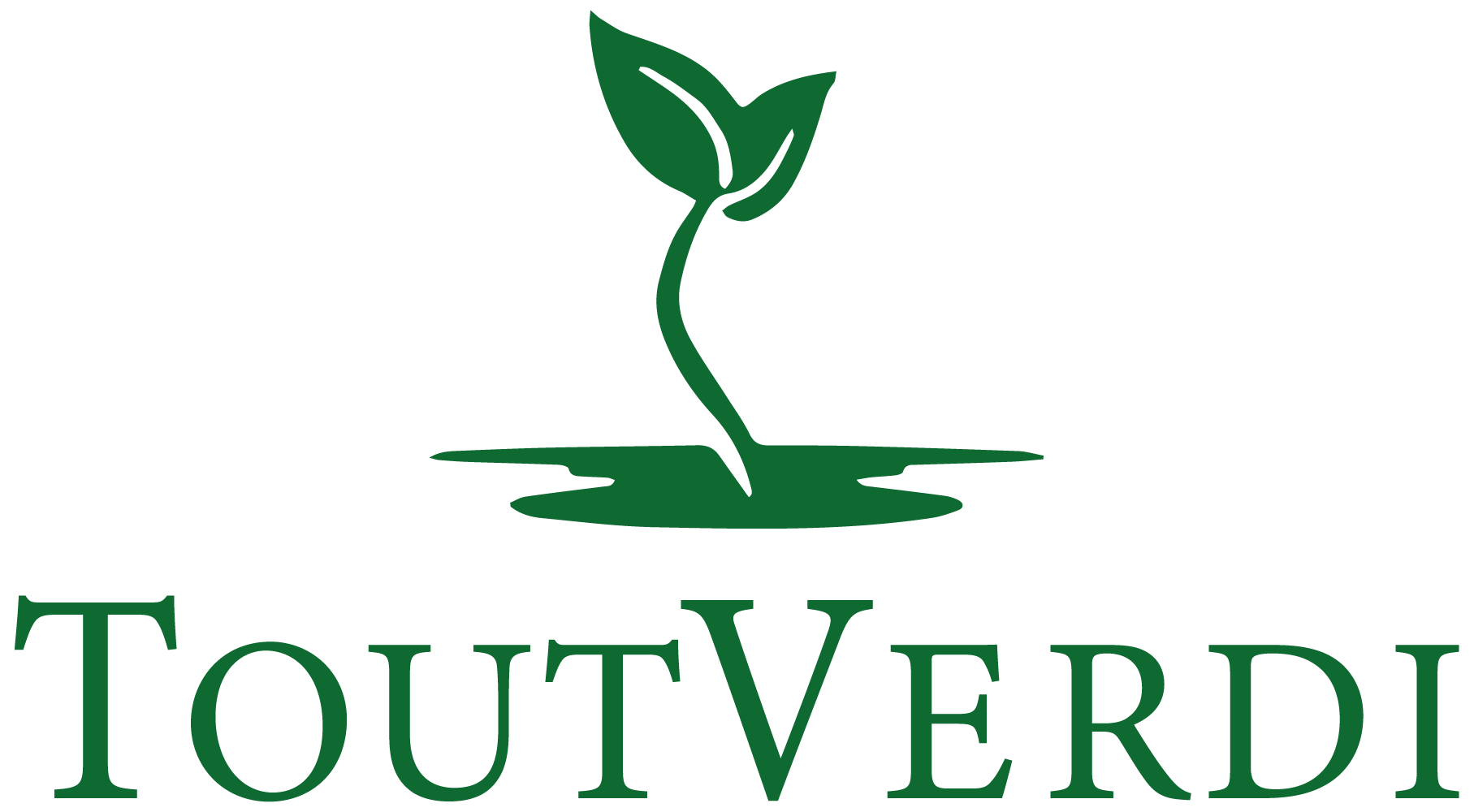 logo-TOUTVERDI